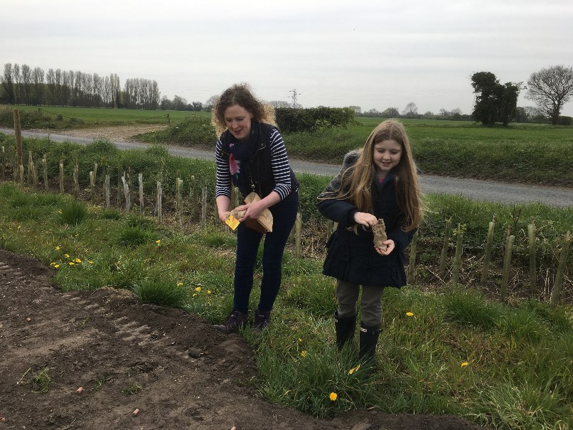 Seed-sowing-Saturday-3